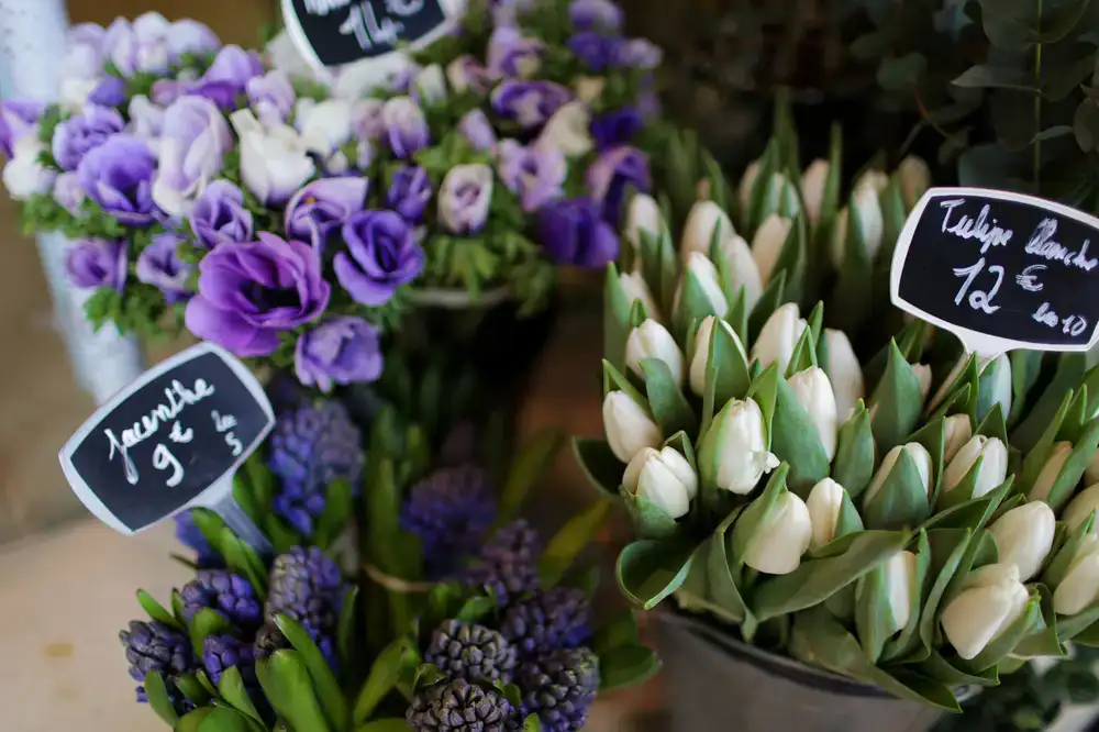 Spring blooms